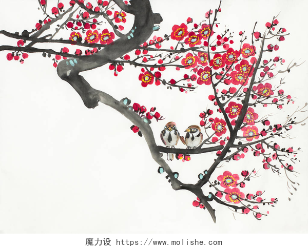 在白色画布上画出的冬季梅花开花的李子和鸟分支在轻的背景